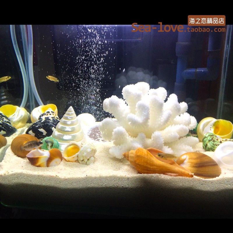 鱼缸品牌十大排名榜海之（水族品牌十大排名榜海之） 鱼缸百科 第2张