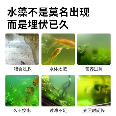 除藻剂倒入鱼缸多久换水（除藻剂倒入鱼缸后是否需要换水以及何时换水） 鱼缸百科 第2张