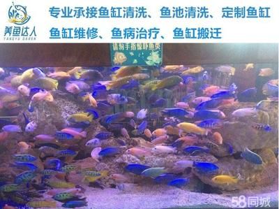 专业修鱼缸电话（临沂森森水族服务专业修鱼缸维修服务专业修鱼缸电话） 鱼缸百科 第1张