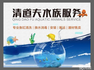 专业修鱼缸电话（临沂森森水族服务专业修鱼缸维修服务专业修鱼缸电话） 鱼缸百科 第4张