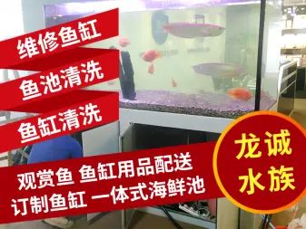 专业修鱼缸电话（临沂森森水族服务专业修鱼缸维修服务专业修鱼缸电话） 鱼缸百科 第3张