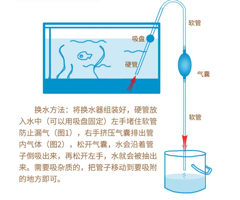 鱼缸多久换水的正确方法（鱼缸多久换一次水） 鱼缸百科 第5张