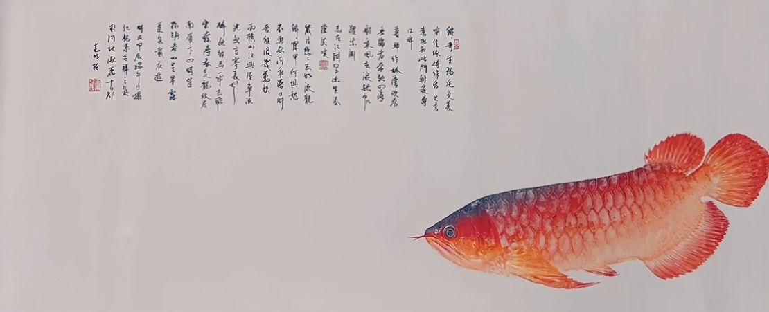 龙鱼水墨画（死去的龙鱼经过专业师傅打磨制作成画）