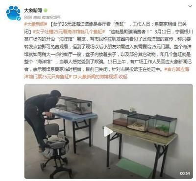 鱼缸里的鱼怎么发朋友圈（在朋友圈分享鱼缸里的鱼，可以采用多种方式吸引朋友们的注意力） 鱼缸百科 第3张