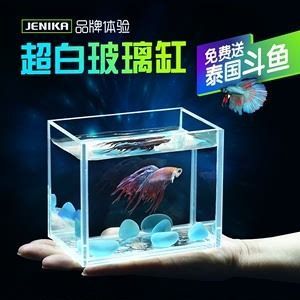 比较好的鱼缸品牌有哪些牌子（水族箱品牌有哪些？）