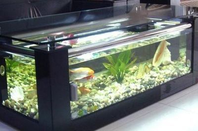 鱼缸品牌推荐排行榜（成都智拓水族鱼缸品牌推荐的鱼缸品牌：海象品牌） 鱼缸百科 第1张