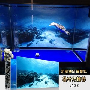 小型雷龙鱼的品种（关于小型雷龙鱼的问题） 水族问答 第4张