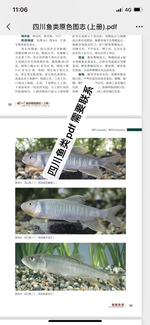 四川鱼类原色pdf.  需要联系（四川鱼类原色pdf需要联系《四川鱼类原色》pdf版本介绍） 观赏鱼论坛