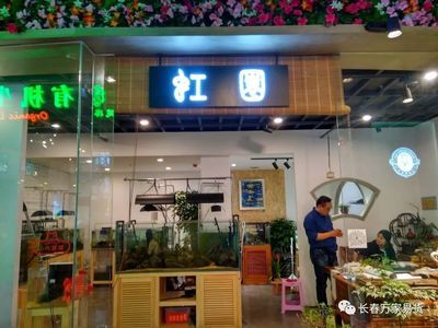 长春鱼缸定制（长春地区有多家提供鱼缸定制服务的公司和品牌和品牌） 鱼缸百科 第2张