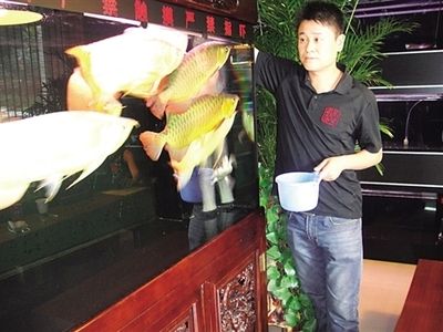 盐池县深蓝水族馆（宁夏盐池县深蓝水族馆观赏鱼、鱼缸、花卉销售***） 全国观赏鱼市场