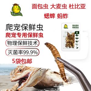 龙鱼微信群微信交流群（关于龙鱼微信群的一些问题） 水族问答