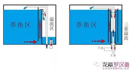 深圳市绿天地立体景观设计有限公司（深圳市绿天地立体景观设计有限公司经营项目介绍） 广州景观设计