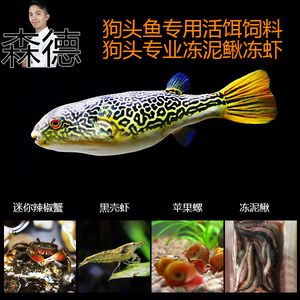 广州市恒兆环境生物工程有限公司荔湾分公司（广州市恒兆环境生物工程有限公司荔湾分公司经营产品介绍） 广州景观设计