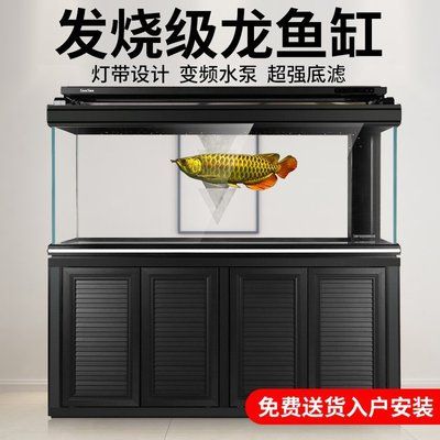 巴中水族批发市场哪家龙鱼好（**巴中水族批发市场的龙鱼质量参差不齐） 水族问答