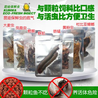 河池水族批发市场哪家的龙鱼好（河池水族批发市场中的龙鱼品质和品种多样，哪家龙鱼价格更合理） 水族问答