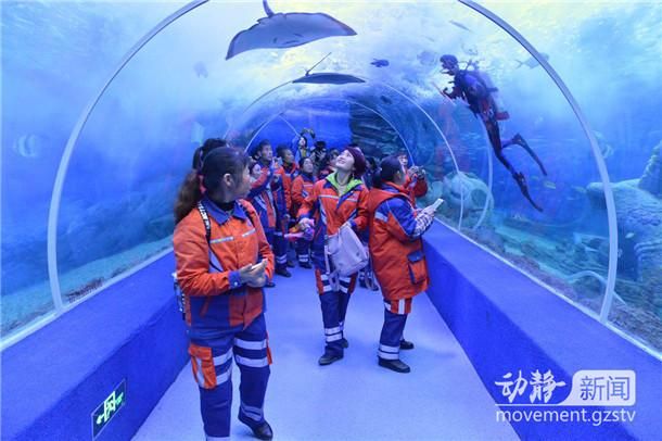 金华水族批发市场哪家的龙鱼好（“一二三”观赏鱼市场是最大的水族买卖场所之一） 水族问答