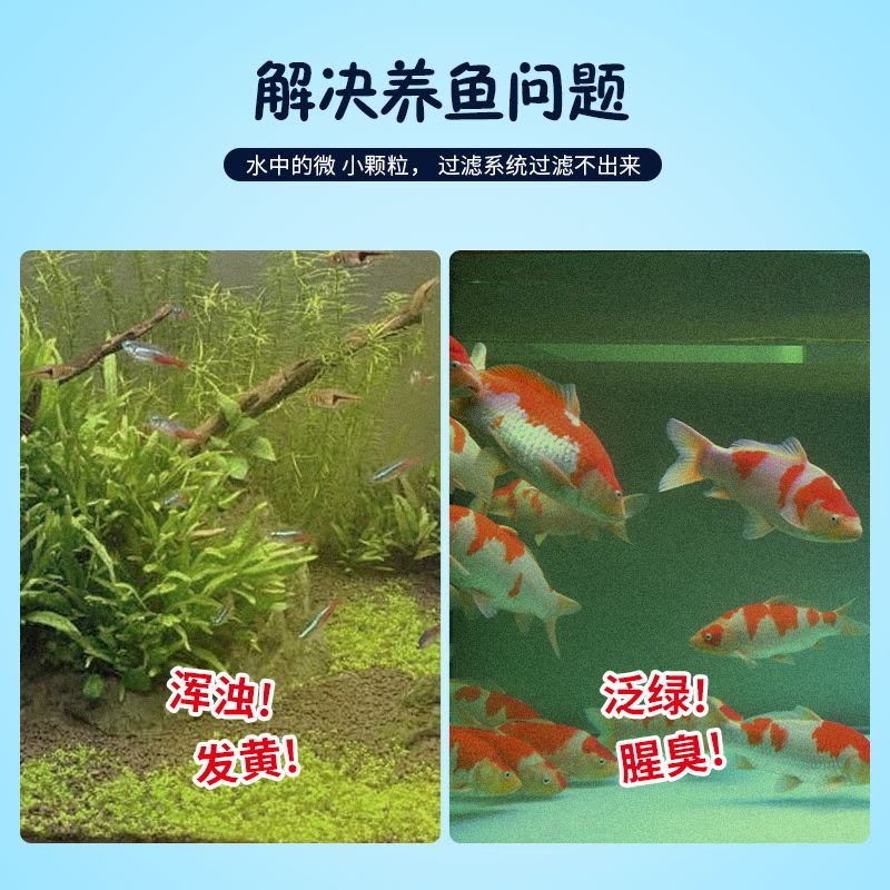 鱼缸水浑浊发黄原因和解决方案图片（鱼缸水浑浊发黄怎么办） 鱼缸百科 第3张