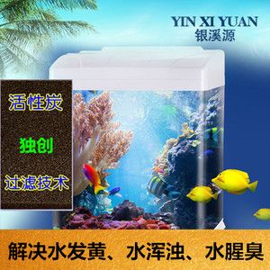 鱼缸水浑浊发黄的解决办法（鱼缸水浑浊发黄怎么办） 鱼缸百科 第1张