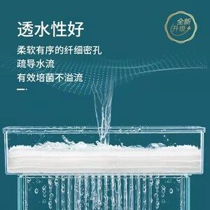 濮阳水族批发市场哪家的龙鱼好（濮阳水族批发市场中哪家店铺的龙鱼品种最好，哪家店铺最好） 水族问答