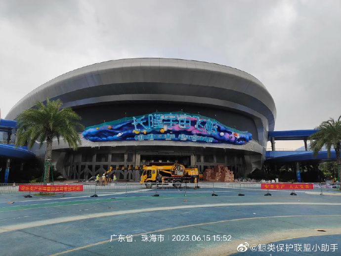 双鸭山水族批发市场哪家的龙鱼好（双鸭山水族批发市场的龙鱼价格如何？） 水族问答