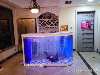 鱼缸定制多少钱一平方安装（***鱼缸定制价格因素） 鱼缸百科 第1张