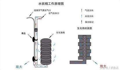 鱼缸有过滤器水浑浊怎么办怎么变清（鱼缸水浑浊问题及其解决方法，） 鱼缸百科 第4张