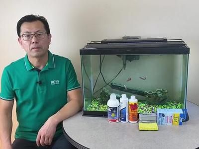 鱼缸水浑浊怎么办有什么好的办法吗？—水族之家（如何解决鱼缸水浑浊的问题） 鱼缸百科 第1张