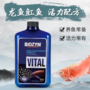 金龙鱼价格走势（-金龙鱼价格走势对未来市场有何预期） 水族问答