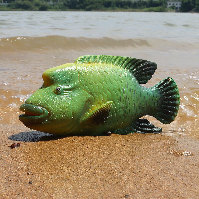 金龙鱼掉鳞片了怎么办（金龙鱼掉鳞片了怎么办？） 水族问答