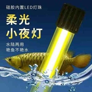 沈阳山石水族科技有限公司（沈阳山石水族科技有限公司介绍） 全国观赏鱼市场