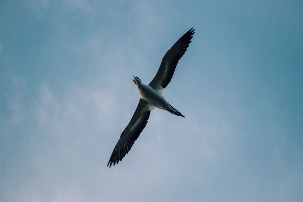 长治高新区乐活水族馆（山西长治高新区乐活水族馆是一个结合教育和娱乐的水族馆）