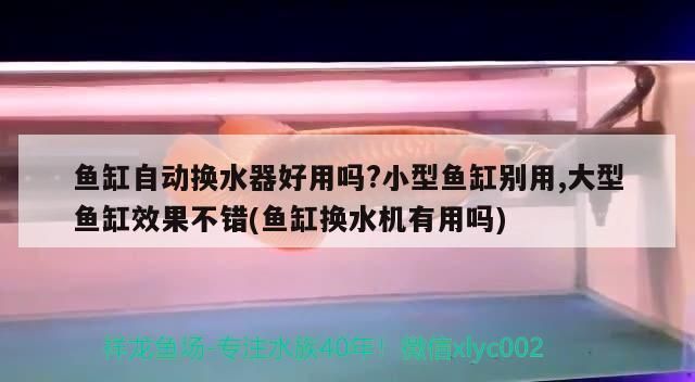 鱼缸换水器怎么用（**鱼缸换水器的使用步骤包括打开盖子、安装水管、连接水管）