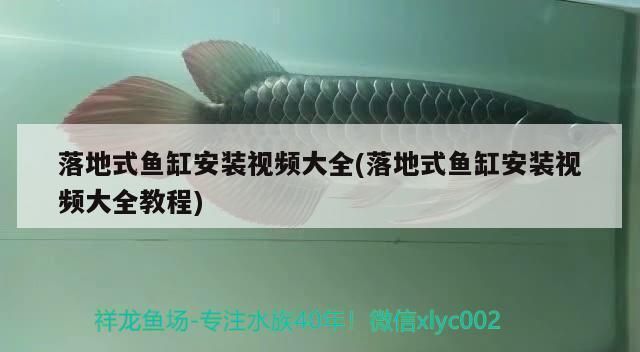 双阳区维龙养鱼池（中国吉林省长春市双阳区维龙养鱼池位于长春市双阳区）