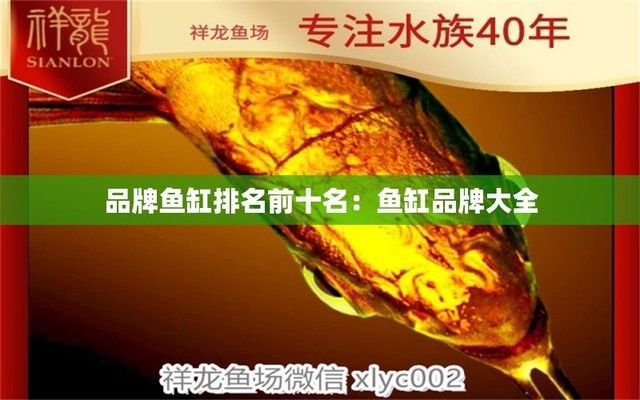 好的鱼缸品牌排名前十（2024年鱼缸品牌排名） 鱼缸百科 第5张