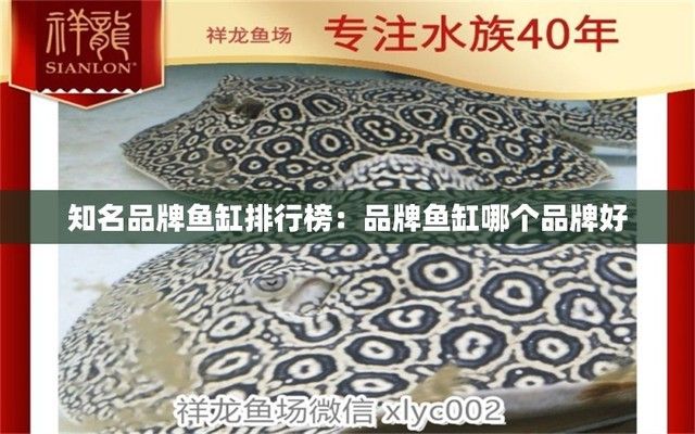 好的鱼缸品牌排名前十（2024年鱼缸品牌排名） 鱼缸百科 第3张