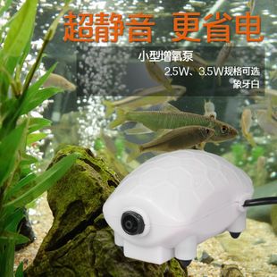 九龙鱼缸要养什么龙鱼最好呢（九龙鱼缸养殖技巧） 水族问答