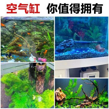 河北火晨商贸有限公司（河北火晨商贸有限公司,） 水族周边