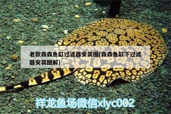 北京阅微广德商贸中心（北京阅微广德商贸中心以质量求生存以服务求发展）