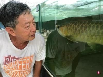 大湖红龙鱼好吗怎么养活的（***大湖红龙鱼的饲养技巧和饲养指南）