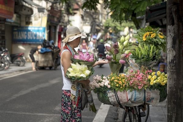 金龙鱼种植基地对当地就业的影响（金龙鱼种植基地在招聘员工时，是否会优先考虑当地居民？） 水族问答