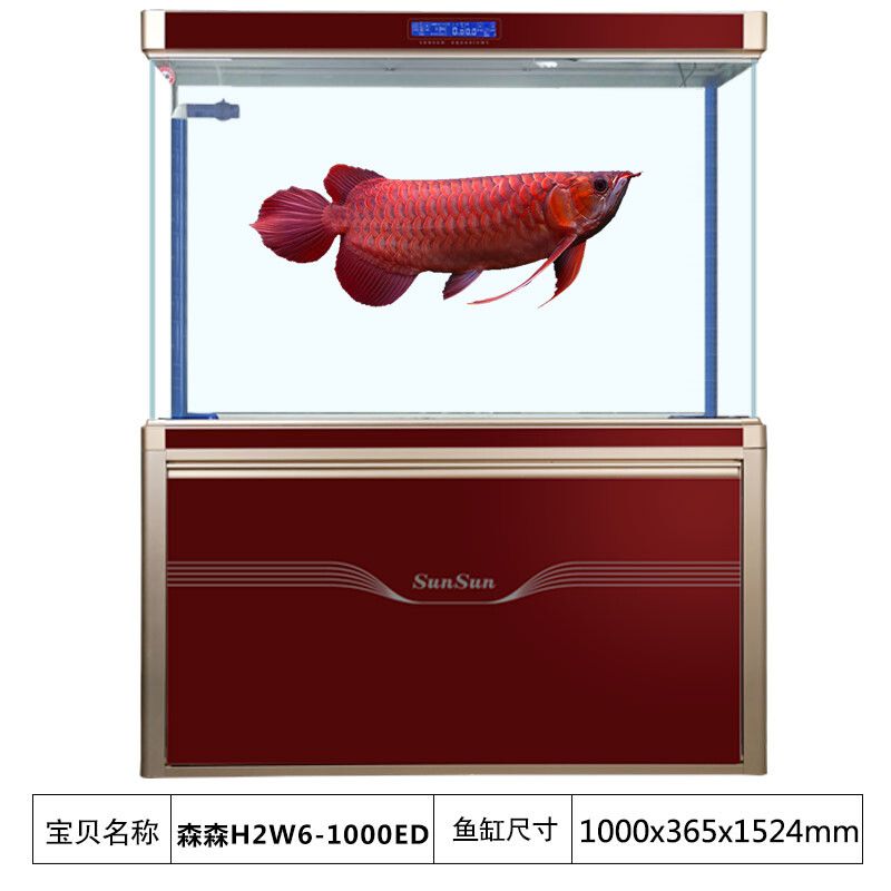 森森鱼缸产地全国有几家（广东森森鱼缸生产基地介绍） 龙鱼百科 第5张