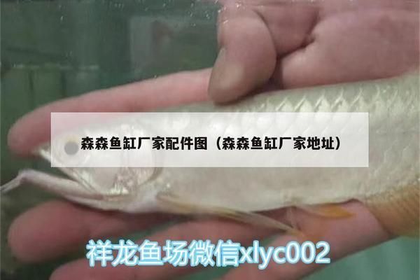 森森鱼缸厂家配件图（森森鱼缸操作造浪泵体安装教程视频鱼缸配件适配器使用方法） 龙鱼百科 第4张