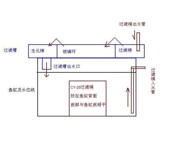 鱼缸过滤系统的安装（如何安装鱼缸过滤系统） 龙鱼百科 第5张