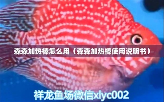 金龙鱼鱼缸品牌历史沿革（金龙鱼品牌的历史沿革） 水族问答