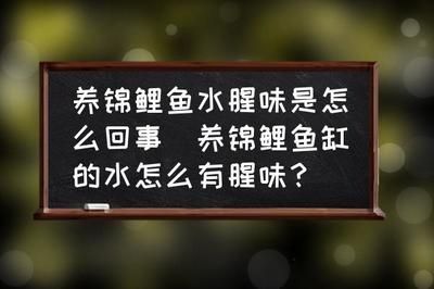 鱼缸的水两天就有味怎么处理（鱼缸异味如何快速消除？） 龙鱼百科 第7张