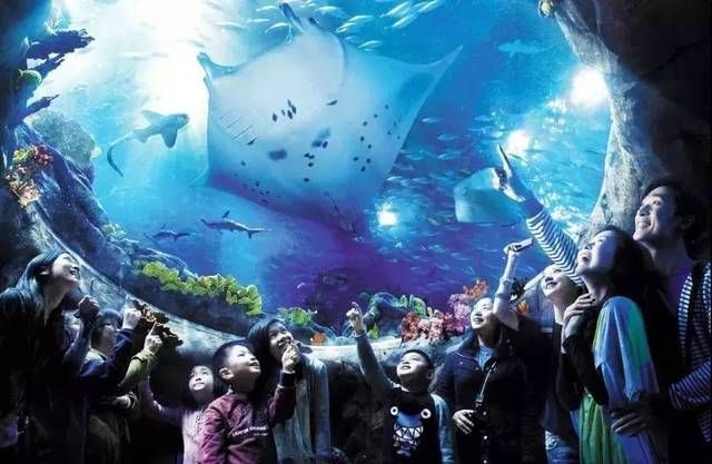 香港水族馆（海洋公园海洋馆门票预订）