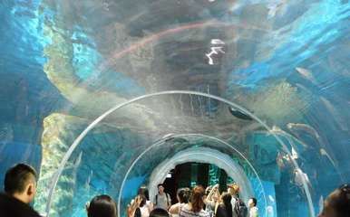 香港水族馆（海洋公园海洋馆门票预订）