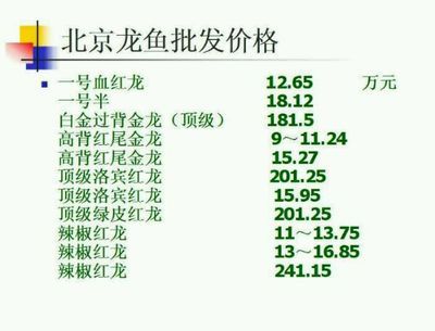 北京龙鱼价格查询表（北京龙鱼价格查询表详细信息：北京龙鱼价格有所上涨）