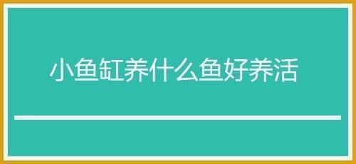 中农古廓里现代农业发展有限公司（中农古廓里现代农业发展有限公司91371324ma3q5l5m2c） 水族周边