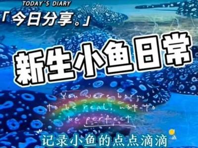 博世龙鱼缸连锁店怎么样（博世龙水族用品有限公司怎么样） 龙鱼百科 第4张